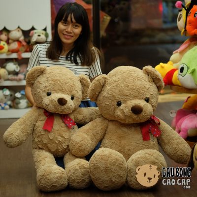 Gấu Teddy lông xoắn tim nơ sao