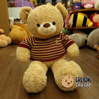 Gấu Teddy áo len cafe sữa