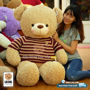 Gấu Teddy áo len Cafe Sữa - Size: 1m2