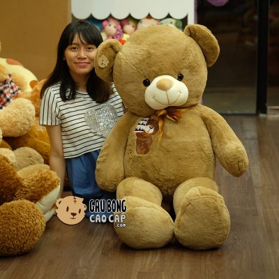 Gấu Teddy Sinh Nhật - Birthday Cake