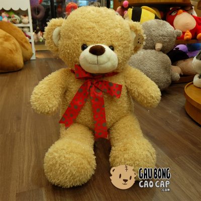 Gấu Teddy lông xù nơ chấm bi