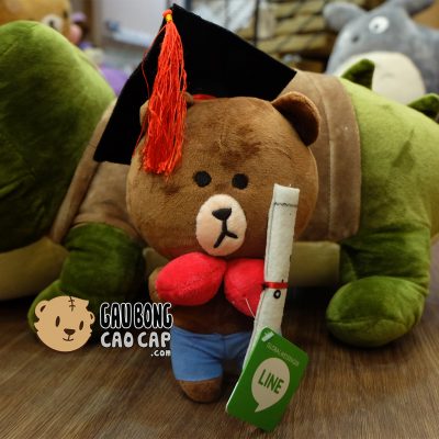 Gấu Bông Tốt Nghiệp - Brown