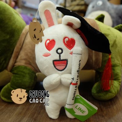 Gấu Bông Tốt Nghiệp - Thỏ Cony