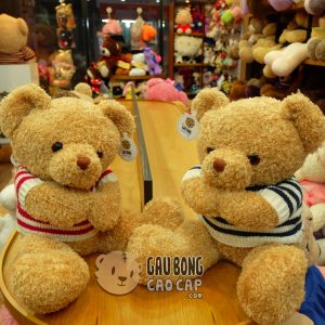 Gấu Teddy áo len lông xù tay Hít