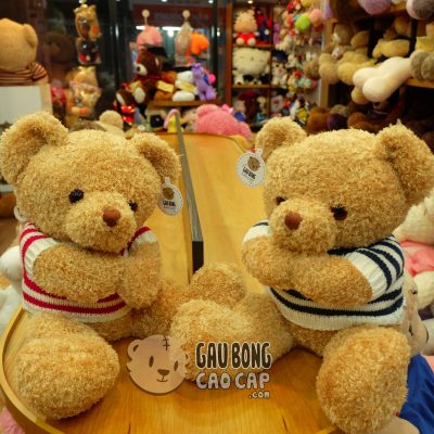 Gấu Teddy áo len lông xù tay Hít