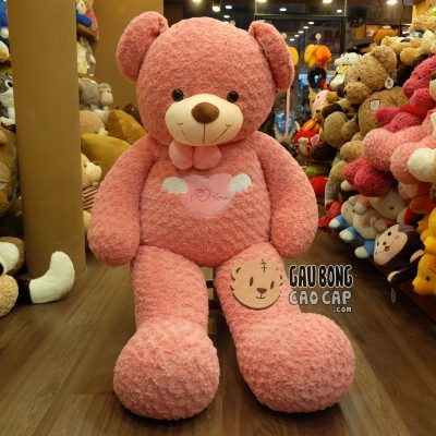 Gấu Teddy Angel - Màu Hồng