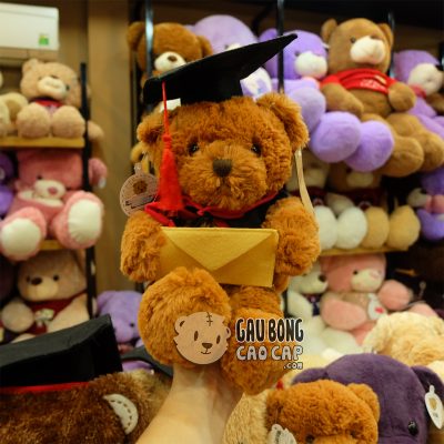 Gấu Teddy Tốt Nghiệp - Lông Tơ Mịn