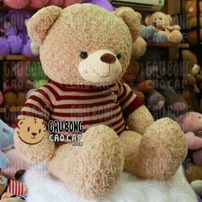 Gấu Teddy áo len Cafe Sữa - Size: 1m2