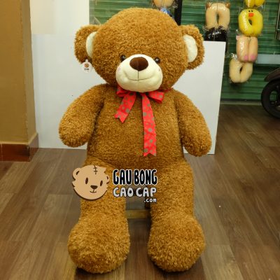 Gấu Teddy lông xù nơ chấm bi
