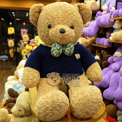 Teddy áo len xanh Navy