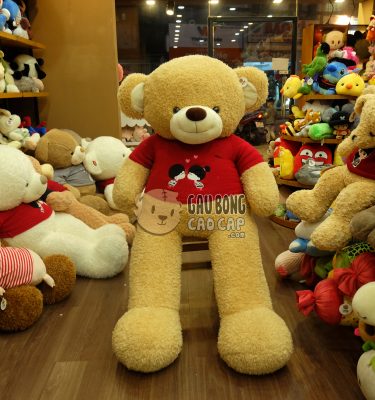 Gấu Teddy Kissing Couple - Màu Vàng