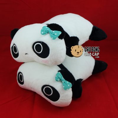 Panda nằm