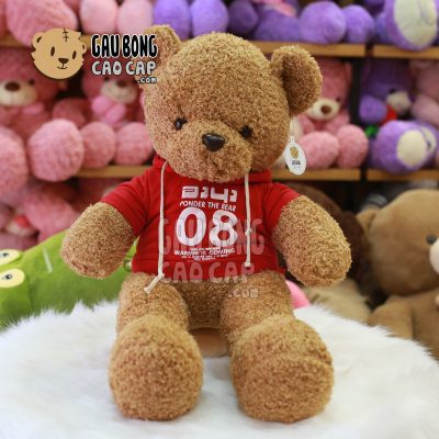 Gấu Teddy lông xù mặc áo Hoodie 08
