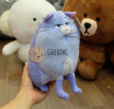 Mèo Chloe - Đẳng Cấp Thú Cưng