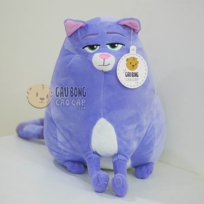 Mèo Chloe - Đẳng Cấp Thú Cưng