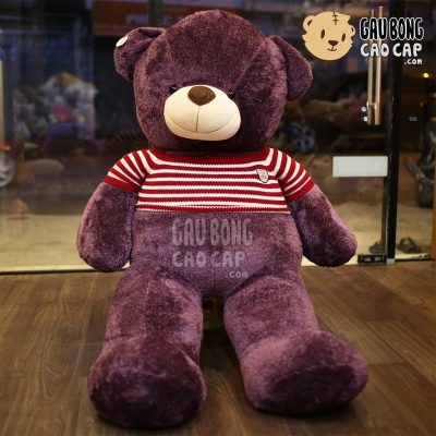 Gấu Bông Teddy Tím áo len