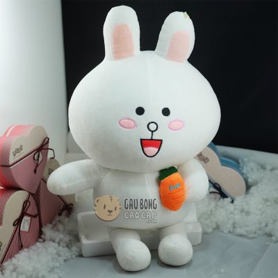 Thỏ Cony ôm Cà rốt