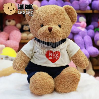 Gấu Teddy mặc áo thun Hug Me