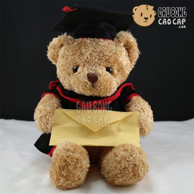 Teddy tốt nghiệp lông xù cầm bì thư