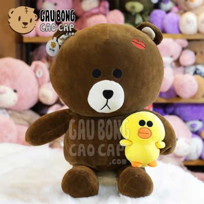 Gấu Brown Kiss ôm vịt vàng