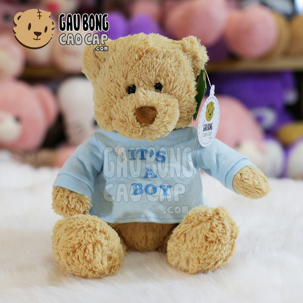 Gấu Teddy Little Bear mặc áo thun màu
