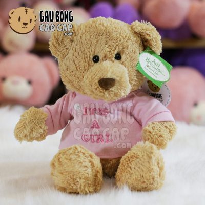 Gấu Teddy Little Bear mặc áo thun màu