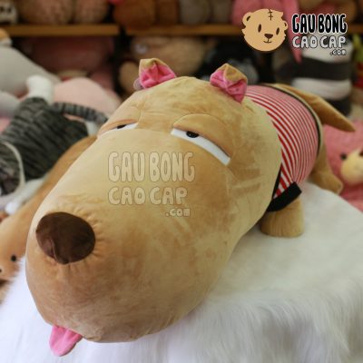 Chó Bông Puco lông nhung