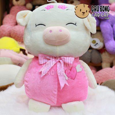Heo Bông Ngực tim