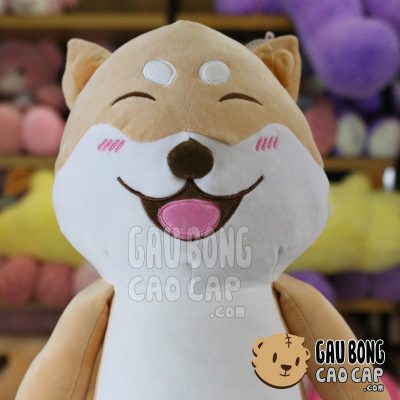 Chó Bông Shiba