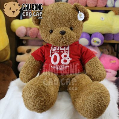 Gấu Teddy lông xù mặc áo Hoodie 08