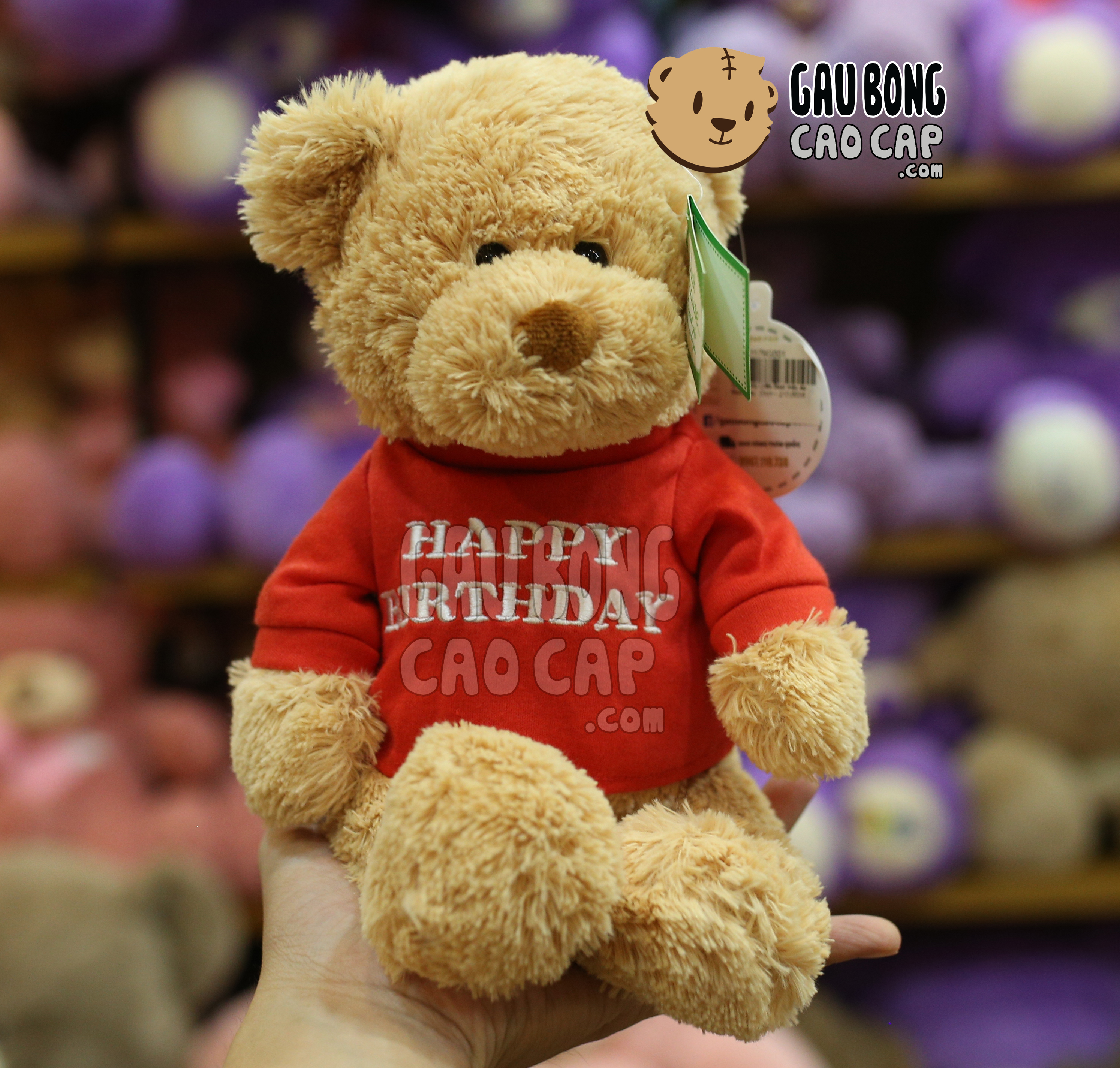 Gấu Teddy Happy Birthday