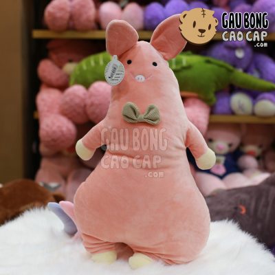 Heo Bông đứng Livheart