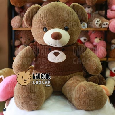 Gấu Teddy Smooth áo len mặt Gấu màu Nâu