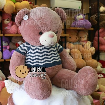 Gấu Teddy mặc áo len ZicZac