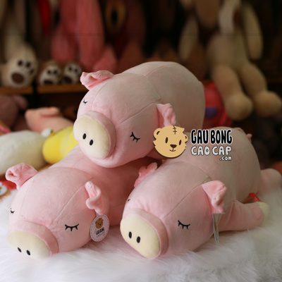 Heo Hồng nằm mũi trắng