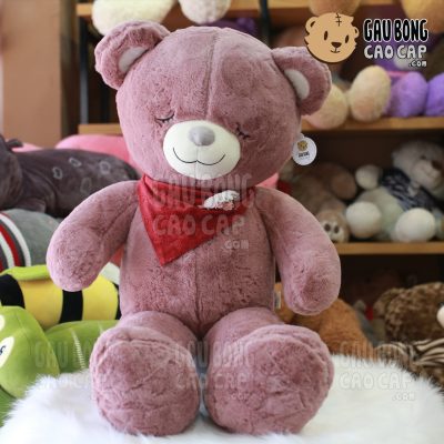 Gấu Teddy sleep choàng khăn đỏ