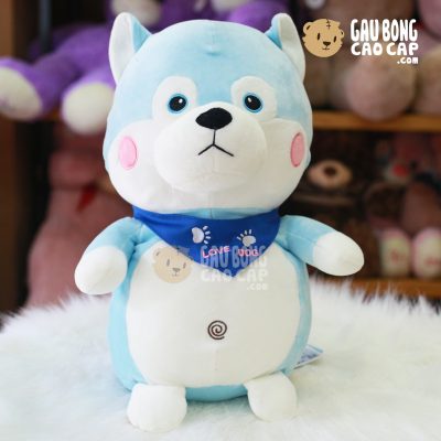 Chó Husky ngồi choàng khăn Love Dog
