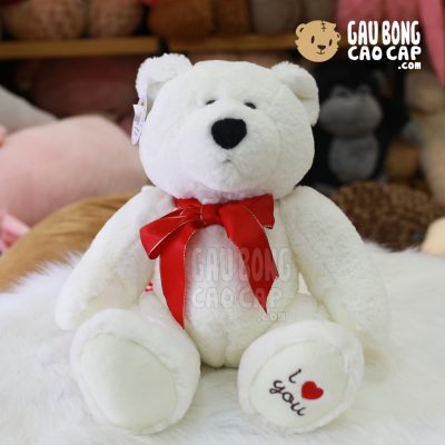 Gấu trắng Bắc Cực đeo nơ đỏ