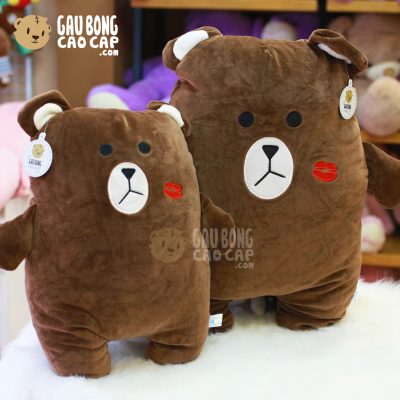 Gấu Brown tựa lưng