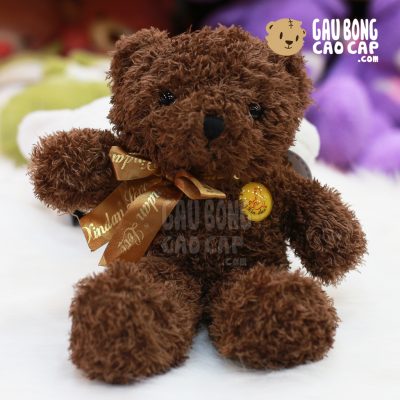 Gấu Teddy lông xù nhí FRJ