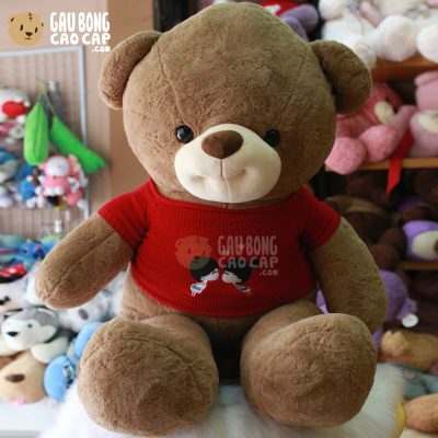 Gấu Teddy Smiley lông smooth mặc áo len