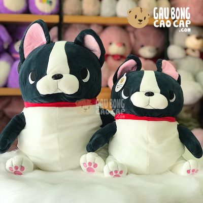 Chó Bông Bulldog Pháp lông mịn