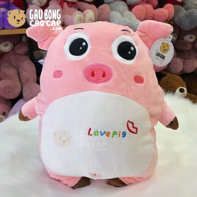 Heo Bông đứng lông mịn mặt biểu cảm