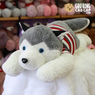 Chó Bông Husky mặc áo len