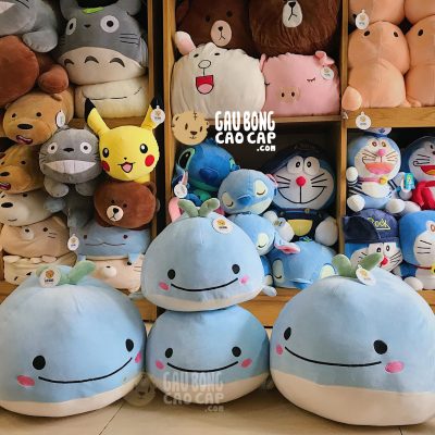 Cá voi bông tròn vo lông mịn