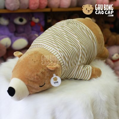 Gấu bông Bắc Cực nằm mặc áo Sọc