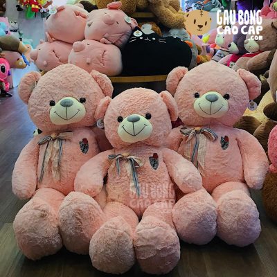 Gấu Teddy ngực Nơ Thêu Hoa Hồng