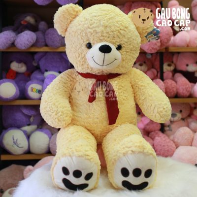 Gấu Teddy lông layer choàng khăn đỏ