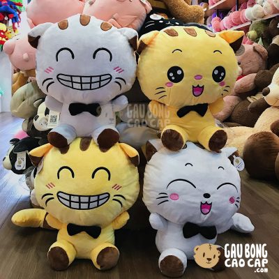 Mèo Bông mặt Kute