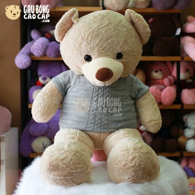 Gấu Teddy Smooth áo len Vặn Thừng